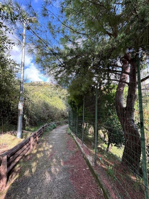 La Casetta Di Roby Con Giardino Privato Genova Exterior foto